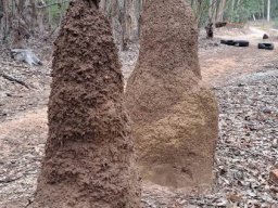 HABITAT
